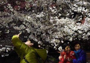 ������Ԥ��