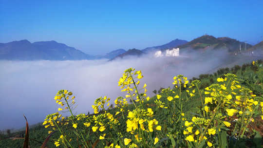 ������Ԥ��һ��