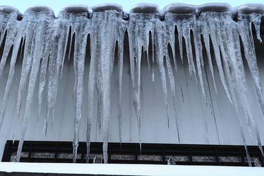 ������Ԥ��һ��