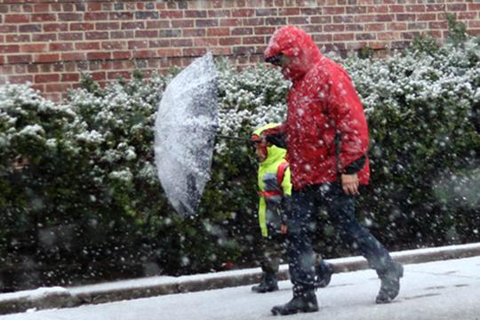 ������Ԥ��һ��