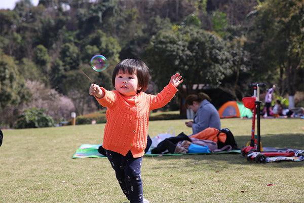 ������Ԥ��һ��