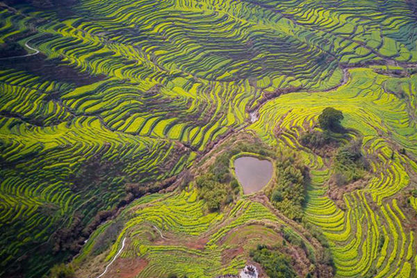 ������Ԥ��һ��