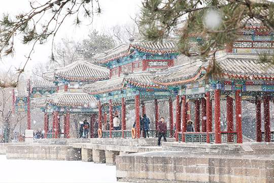 ������Ԥ��һ��