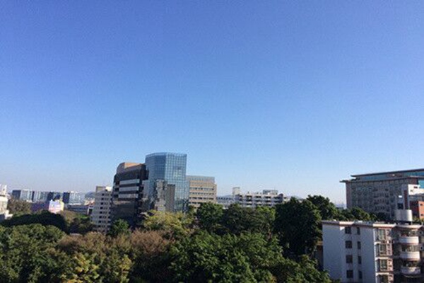 ������Ԥ��һ��