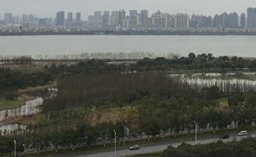 ������Ԥ��һ��