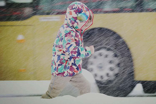 ������Ԥ��һ��