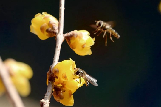 ������Ԥ��һ��